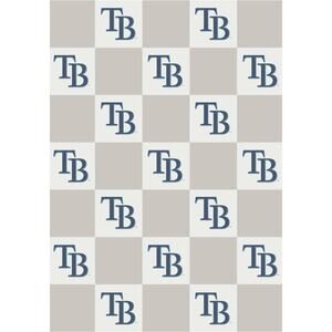 NEW The Styled Collection Tampa Bay Rays MLB Buttery Neutral Check Blanket 50x70
